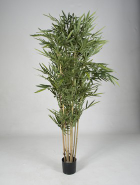 Bamboo Tuff    210