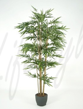 Bamboo Tuff    240