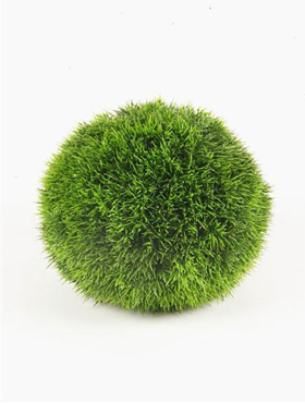 Grass Ball 23