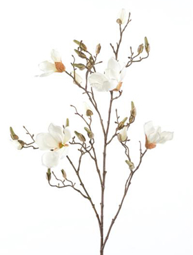 Magnolia Cream branche    105