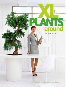 Plants extra large IV